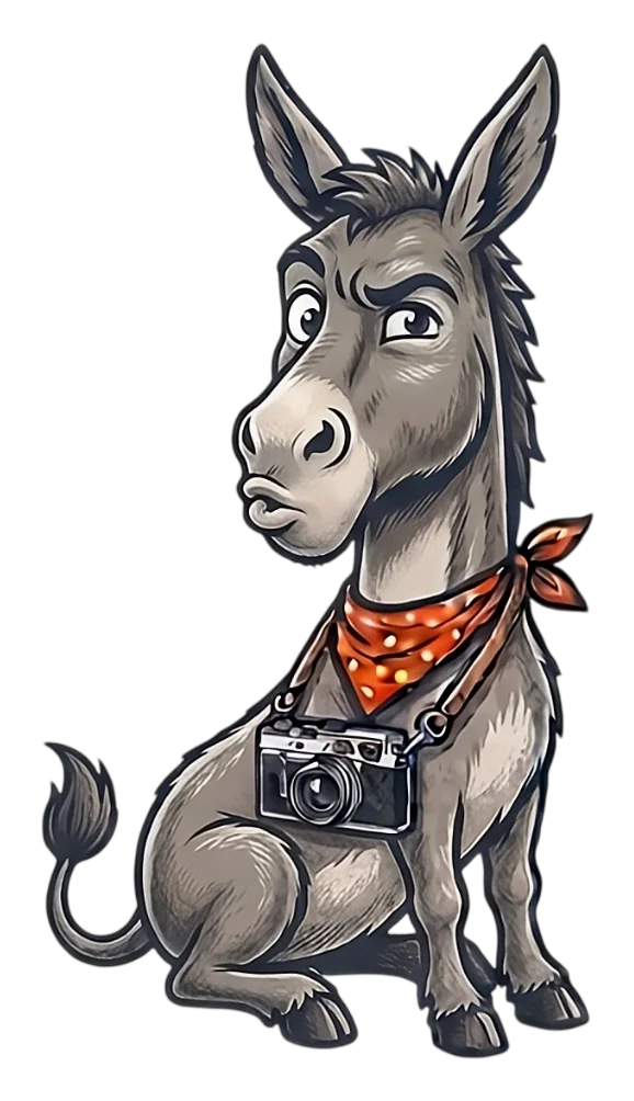 Snap Donkey donkey mascot with a camera, sitting and waiting to answer photo magnet questions